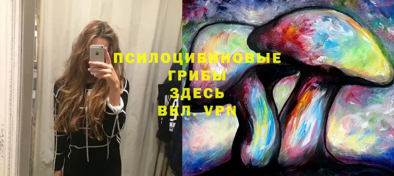 мега зеркало  Лодейное Поле  Псилоцибиновые грибы Psilocybe  где найти наркотики 